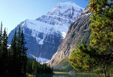 字母哥复出首秀出彩，尤文图斯主场血战波尔图，豪取3连胜的简单介绍